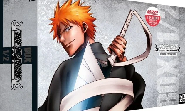Bleach fin explication