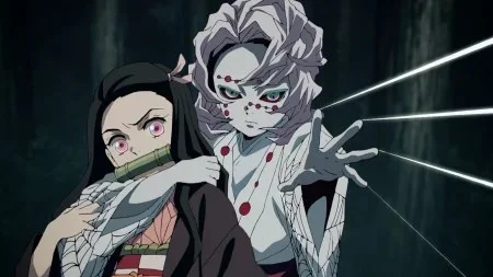 Demon Slayer fin explication